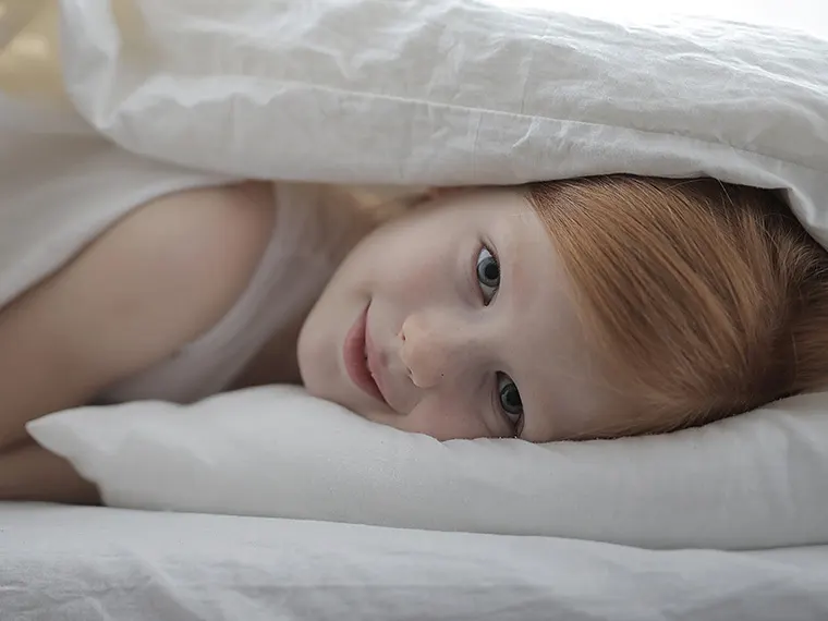 Сертифициране и стандарти