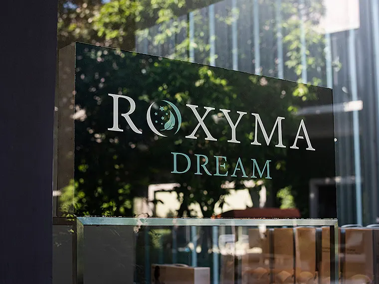 Бизнес направления